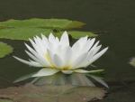Đi tìm giá trị cuộc sống