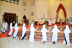 Dòng Đaminh: 13 em gia nhập Tập Viện