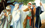 CN 14: Lúa chín đầy đồng mà thợ gặt lại ít!