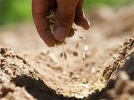 Thứ Tư tuần 16: Mảnh đất tâm hồn ta thế nào?