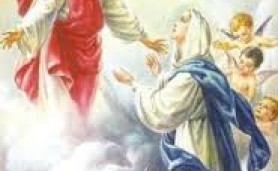 Vọng 15/08 Vinh quang của Mẹ Maria