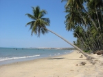 Phan Thiết muốn có lòng thương xót môi sinh