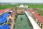 Ngày của cha: Hướng về cội nguồn