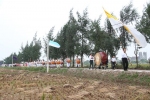 Định Hải cầu cho các tín hữu qua đời tại thánh địa