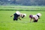Mồng 3 Tết: Thánh hoá công việc làm ăn