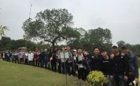 An Bài: Giới trẻ du lịch hành hương