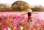 Gửi em, người đã trở về đời thường