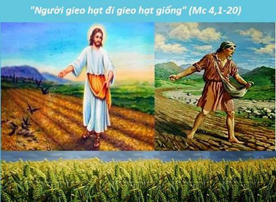 26993518 1456456847797044 659445546647174265 n
