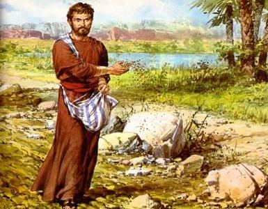 Điều kiện để Lời Chúa trổ sinh bông trái