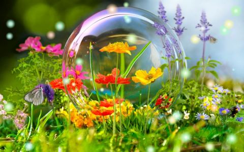 Dấu chỉ triều đại Thiên Chúa