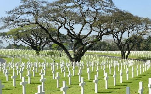 Hỏi đáp về ơn toàn xá tháng 11 năm nay