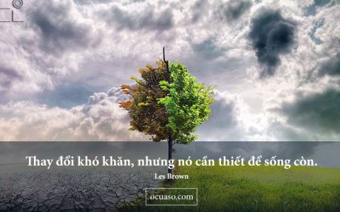 Thay đổi để sống hay là chết