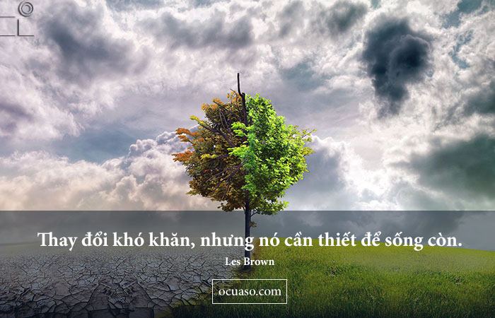 stt va danh ngon hay ve su thay doi 4 1