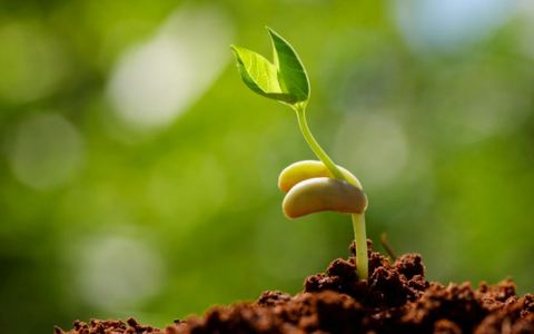 Cho phép mình ngạc nhiên