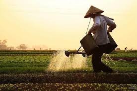 Những giá trị, bài học hữu ích từ lao động