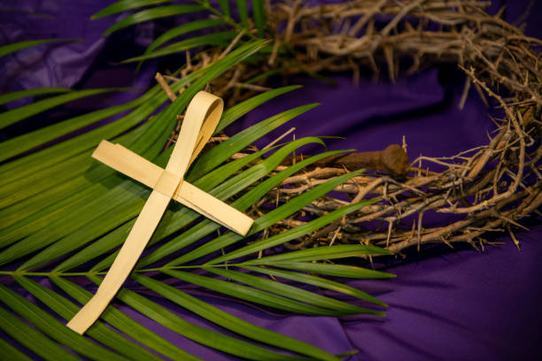 istockphoto 1203246212 612x612