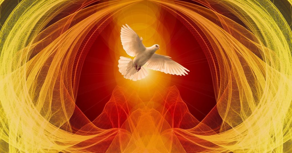 dove 4191376 1920 1024x538