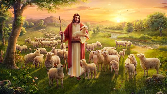 shepherd and sheep