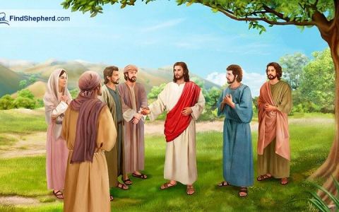 Sứ mạng của người môn đệ Đức Giêsu