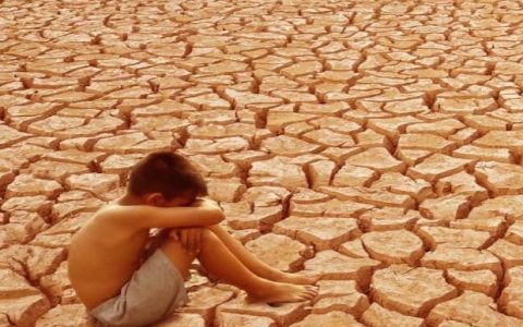 Toàn văn bản tuyên bố chung về bảo vệ thiên nhiên của các nhà lãnh đạo Kitô giáo