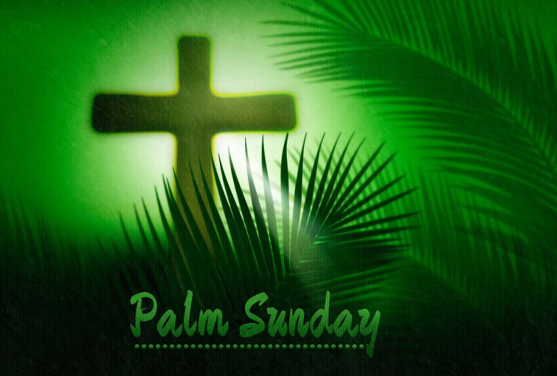 palm sunday 3