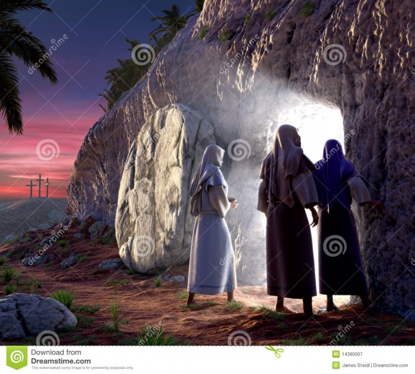 risen 14390067