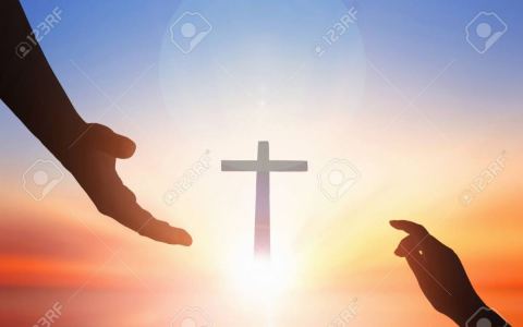 Tìm đâu ra bình an đích thực?