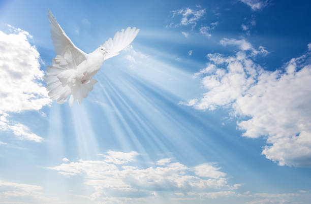 istockphoto 1150120893 612x612