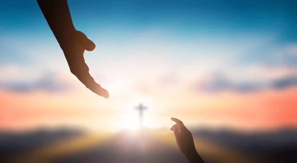 istockphoto 1208519899 612x612