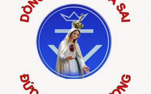 Tuần Tìm hiểu Ơn gọi