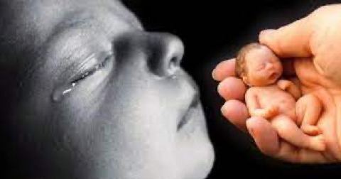 Gửi mẹ những điều ước bé nhỏ!