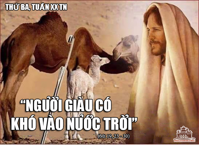 thu ba 20 tn