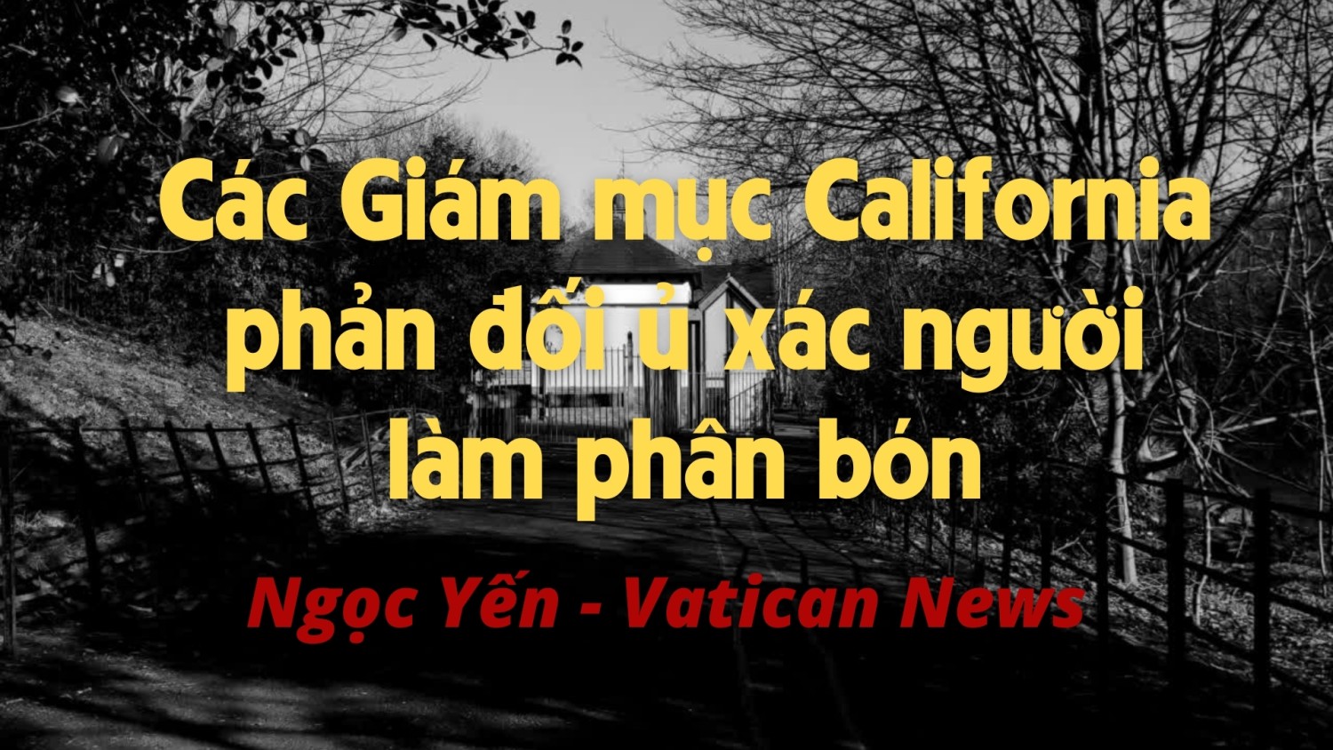 gp bui chu