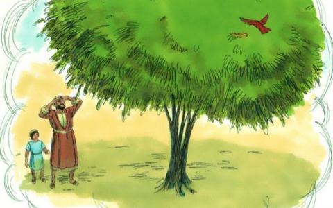 Sức lớn lên của Giáo Hội