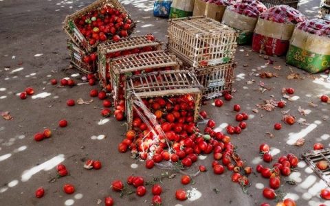 ĐTC: Lãng phí thực phẩm là lãng phí con người