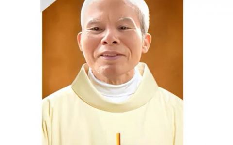 Cha Cố Vinhsơn, những nhiệm sở khác thường