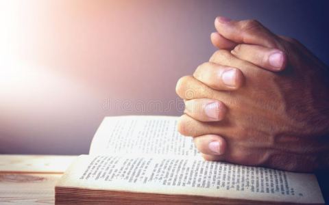 Tĩnh tâm năm linh mục đoàn giáo phận Bùi Chu