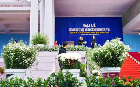 Việc chuẩn bị cho ngày Đại lễ Mẹ Vô Nhiễm