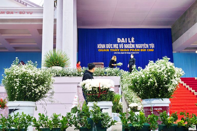 dsc06317 c