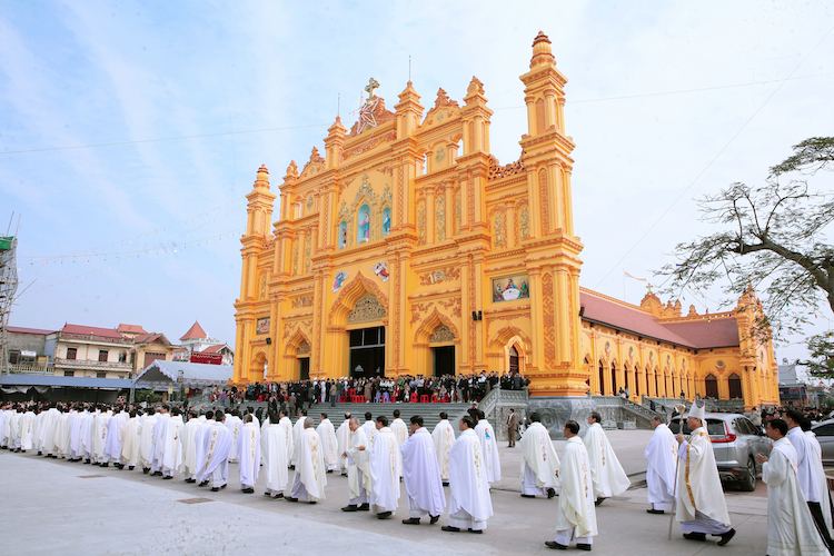 hinh dai dien