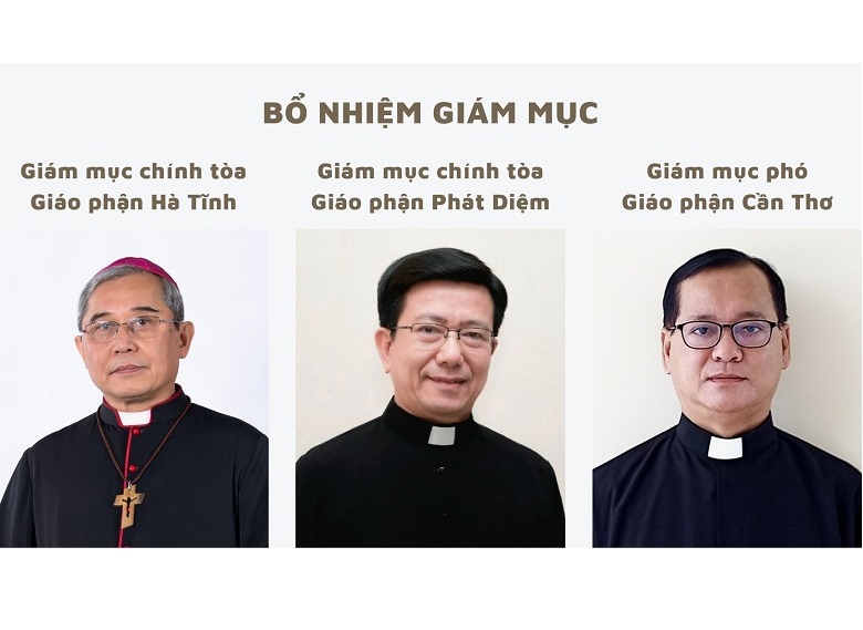 Tòa Thánh bổ nhiệm 3 Giám mục Việt Nam