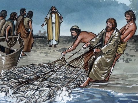 84a83fe4e449ba9bdf9fe044950f7308