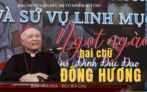 Ngọt ngào hai chữ đồng hương