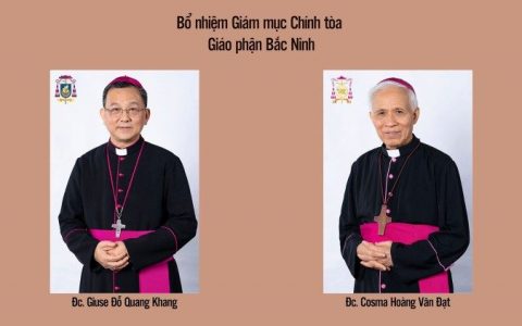 Từ nhiệm và kế vị Giám mục Chính tòa Bắc Ninh