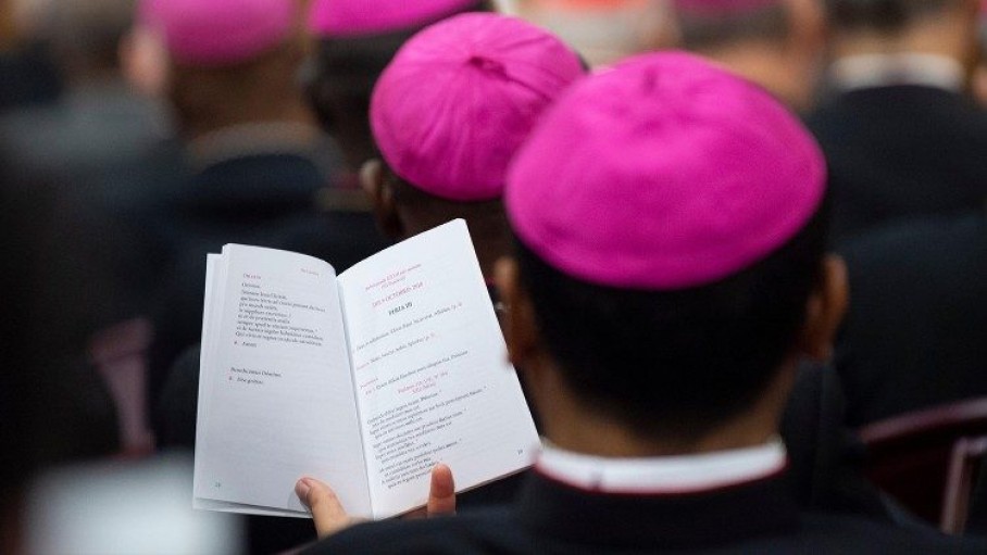 sinodo pubblicato linstrumentum laboris per la xvi assemblea generale