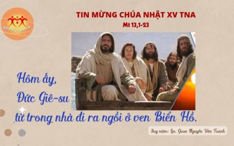 Suy niệm Chúa Nhật tuần XV TN A