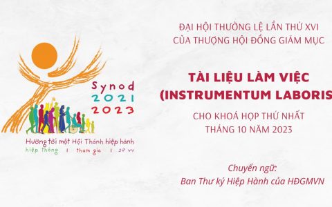Tài liệu Làm việc (Instrumentum Laboris) của Thượng HĐGM