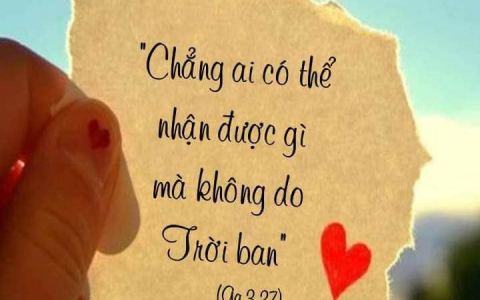 CN 22 TN A: Mọi sự tốt lành đều bởi Chúa