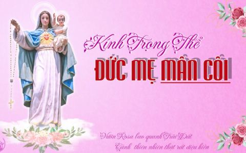 Suy niệm lễ Đức Mẹ Mân Côi