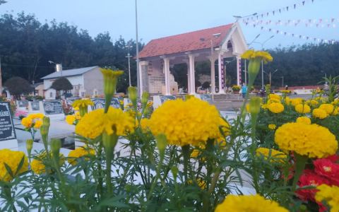 Tháng 11 – sống chậm lại để học tri ân